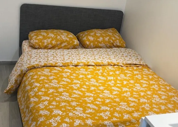 Appartement Neuf Avec Terrasse